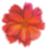 flower.png